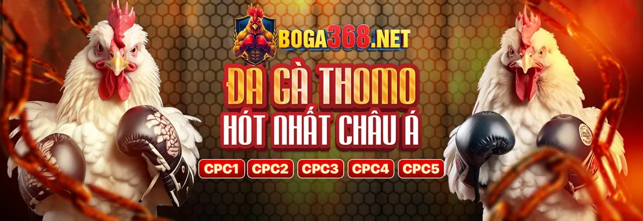 Biểu tượng khóa bảo mật và lá chắn kỹ thuật số trên nền xanh lá